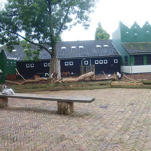 Petting zoo paddock, 2015-07-19