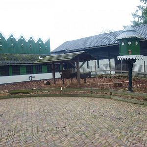 Petting zoo paddock, 2015-07-19