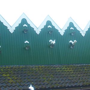 Petting zoo - Dovecote for fantail pigeons, 2015-07-19