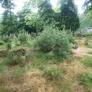 Land area of temporary Humboldt penguin exhibit, 2015-07-19