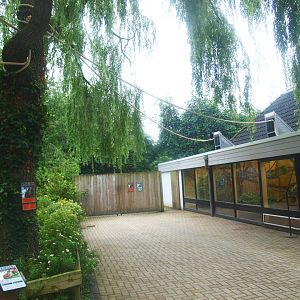 Squirrel monkey house and access ropes to  other areas, 2015-07-19