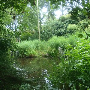 American bird garden, 2015-07-19