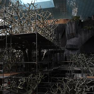 Maintenance in Tropic World: Africa