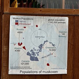 Muskox Sign