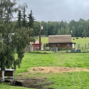 Near cows and calves, far additional paddocks