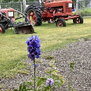 University of Alaska Fairbanks Large Animal Research Station.