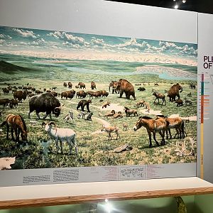 Everybody’s favorite illustration of Pleistocene Alaska