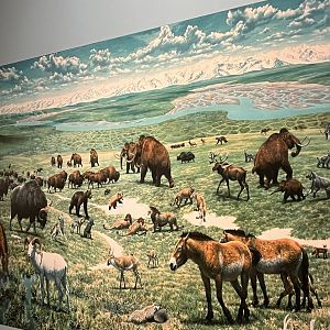 Jay Matternes masterpiece