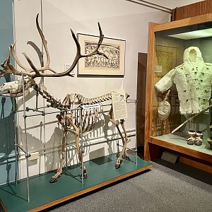 Caribou skeleton and Alaskan Native rain gear
