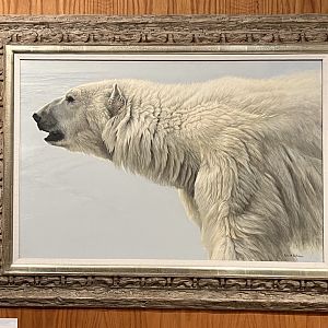 Polar Bear Painting (study of)