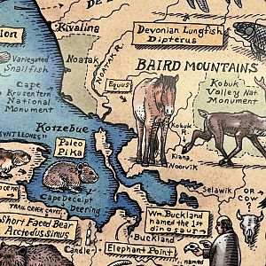 Native Alaskans - Horses