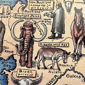 Native Alaskans - Wild Asses