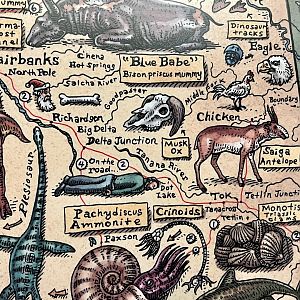 Native Alaskans - Saiga