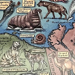 Native Alaskans? - Hyenas and Painted Dogs (Dholes?)
