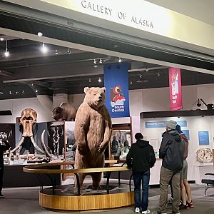 The Alaska Gallery - University of Alaska Fairbanks Museum of the North