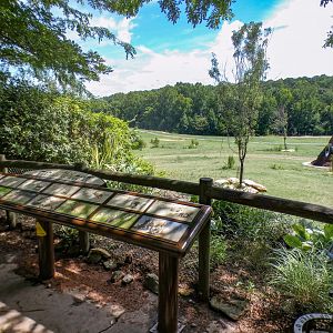 Aug. 2022 - Watani Grasslands Reserve - 25 Acre Savanna (8 Species)
