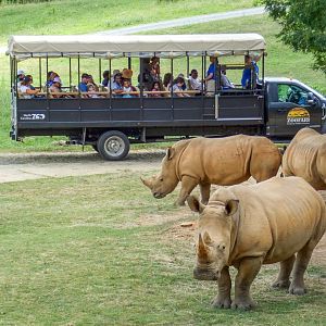 Aug. 2022 - Watani Grasslands Reserve - 25 Acre Savanna (8 Species)