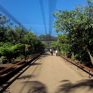 Interior of "Grace's Bird Garden"