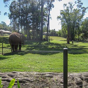 Elephant exhibit