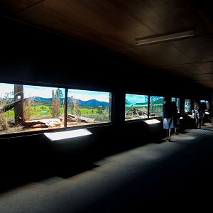 INterior of "Robert's Reptile House"
