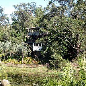 Treehouse on "Bindi's Island"