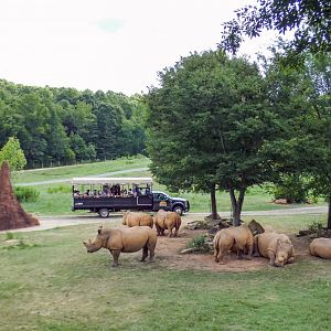 Aug. 2022 - Watani Grasslands Reserve - 25 Acre Savanna (8 Species)