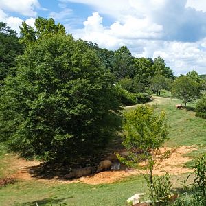 Aug. 2022 - Watani Grasslands Reserve - 25 Acre Savanna (8 Species)