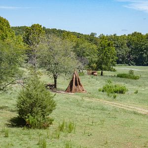 Aug. 2022 - Watani Grasslands Reserve - 25 Acre Savanna (8 Species)