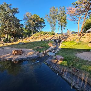 New exhibit: Argentine Cerrado