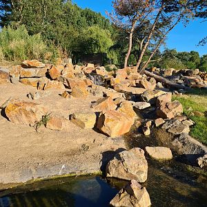 New exhibit: Argentine Cerrado