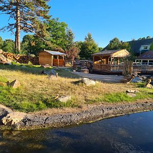 New exhibit: Argentine Cerrado