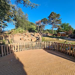 New exhibit: Argentine Cerrado