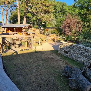 New exhibit: Patagonian mara walkthrough