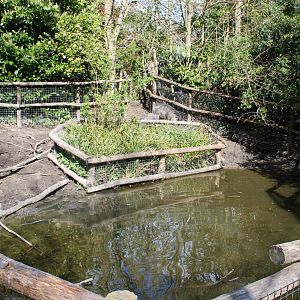 Visayan warty hog enclosure