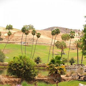 African Plains - View of East African Plains Exhibit