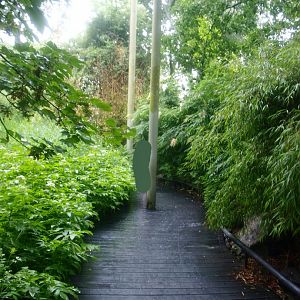 American bird garden - Walkway, 2015-07-19