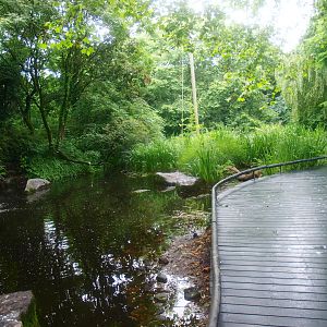 American bird garden, 2015-07-19