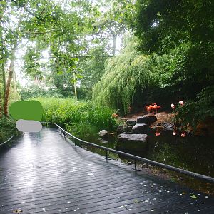 American bird garden, 2015-07-19