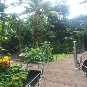 View in the Americasa, 2015-07-19