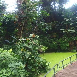 View in the Americasa, 2015-07-19