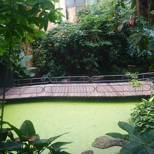 View in the Americasa, 2015-07-19