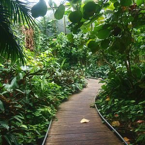 View in the Americasa - Walkway, 2015-07-19