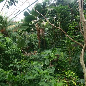 View in the Americasa, 2015-07-19