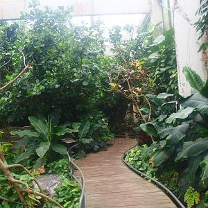 View in the Americasa, 2015-07-19