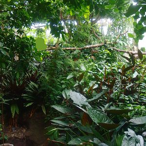 View in the Americasa, 2015-07-19