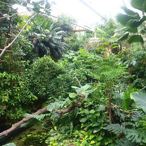 View in the Americasa, 2015-07-19