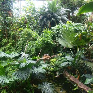 View in the Americasa, 2015-07-19