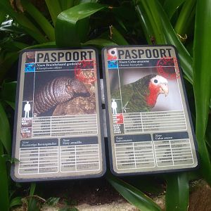 Examples of signage from the Americasa, 2015-07-19