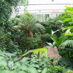 View in the Americasa, 2015-07-19