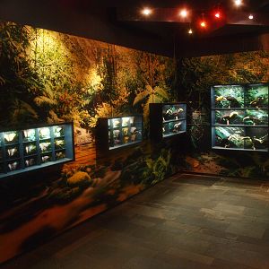 Part of the Americasa exhibition, 2015-07-19